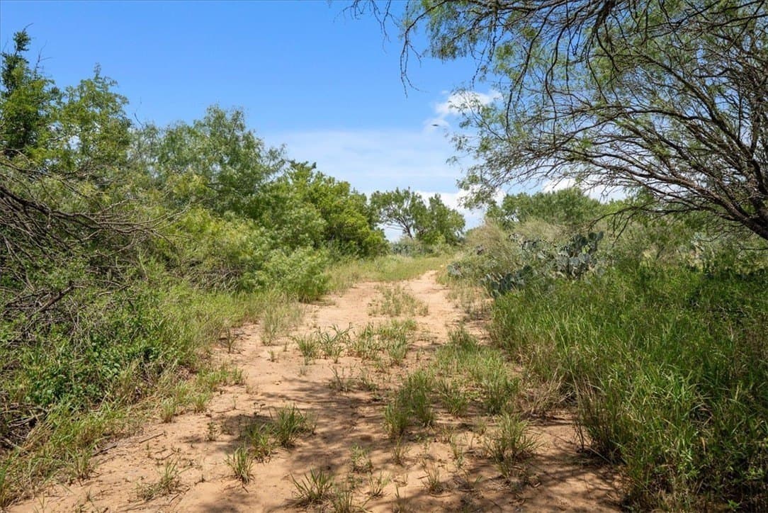 25 acres in Atascosa County - photo 8