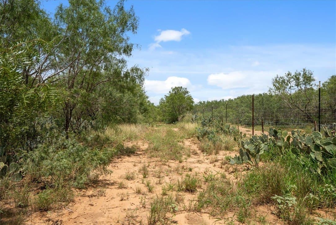 25 acres in Atascosa County - photo 18