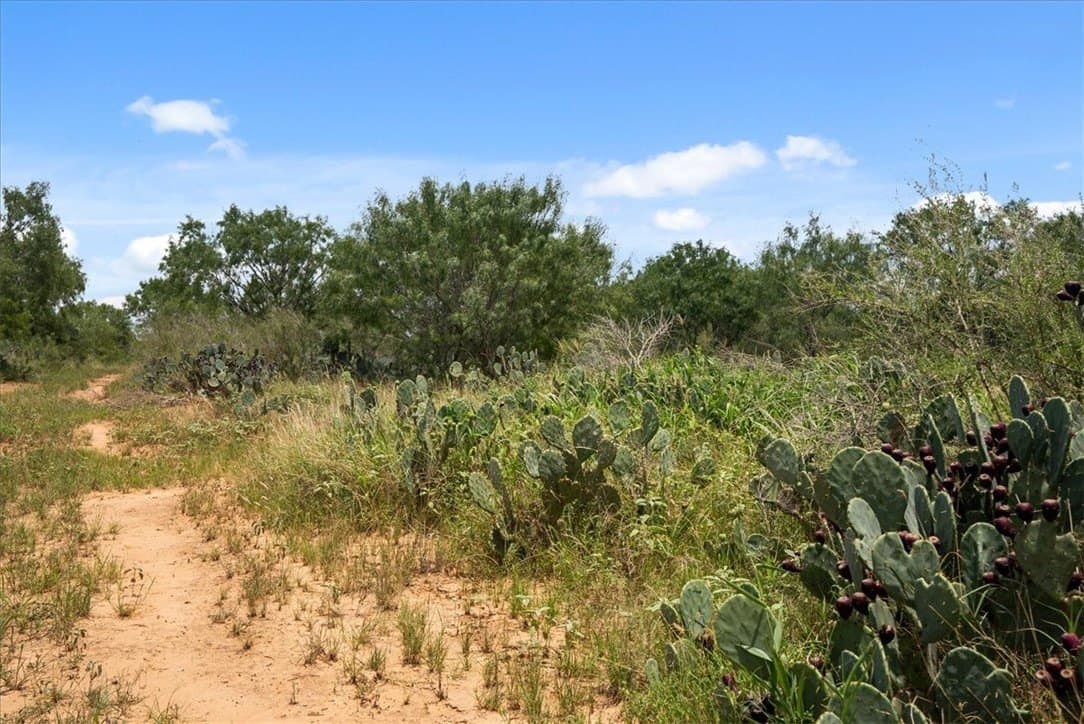25 acres in Atascosa County - photo 13