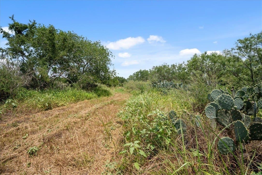 25 acres in Atascosa County - photo 5