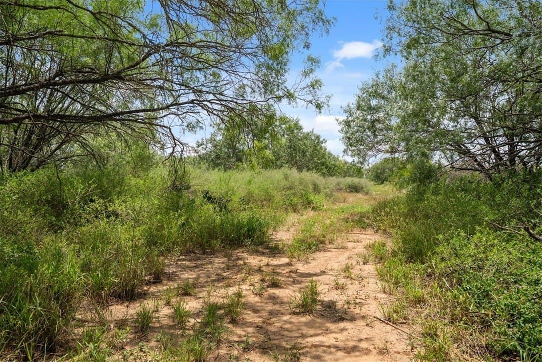 25 acres in Atascosa County - photo 9