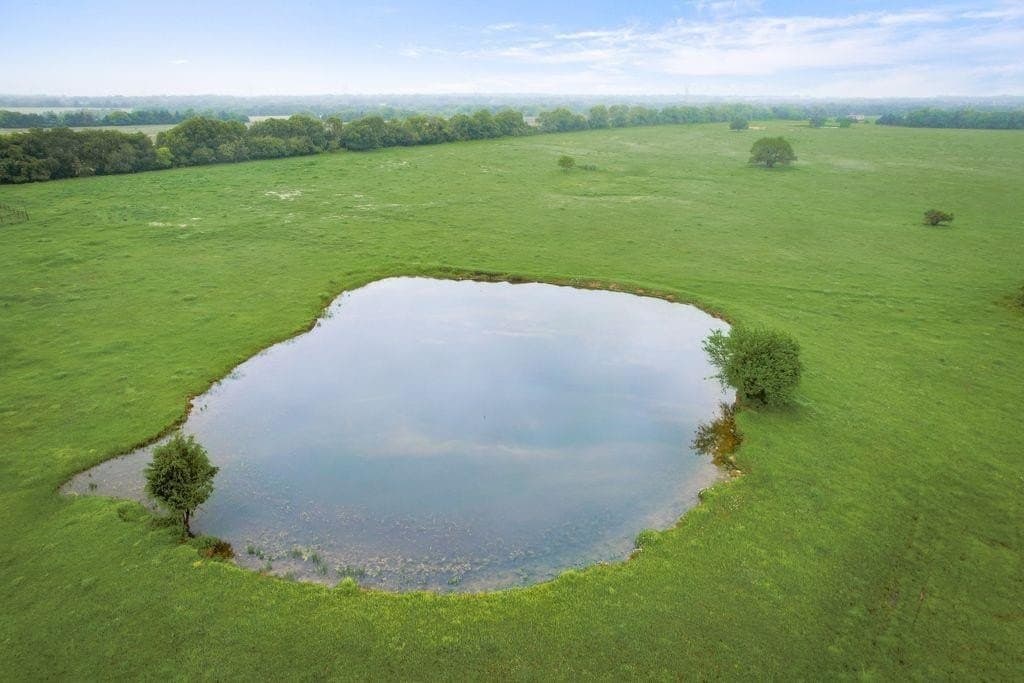 7.55 acres in Fannin County - photo 8