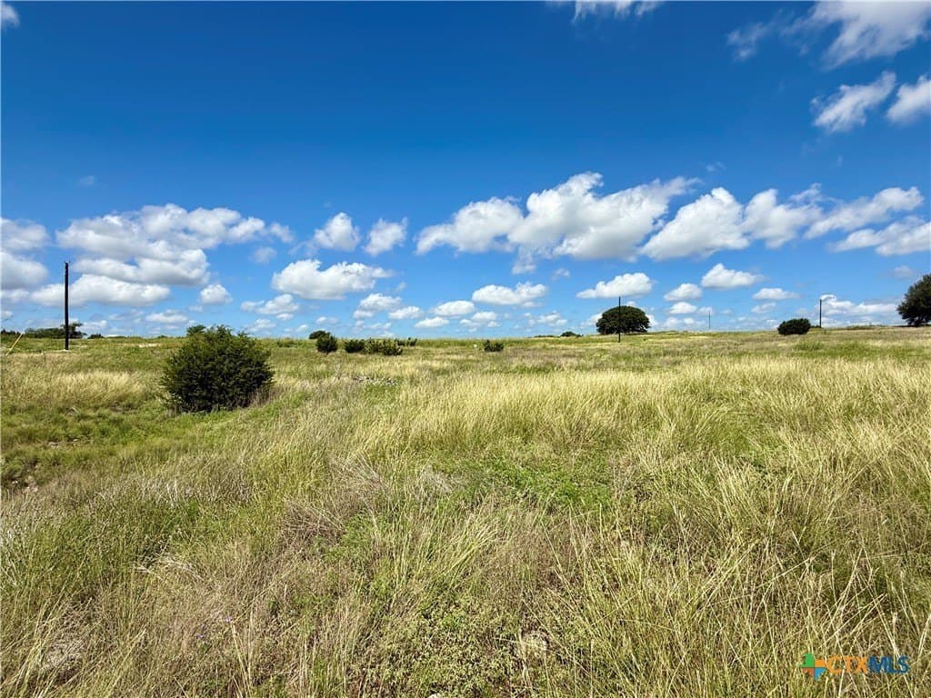 5 acres in Coryell County - photo 9