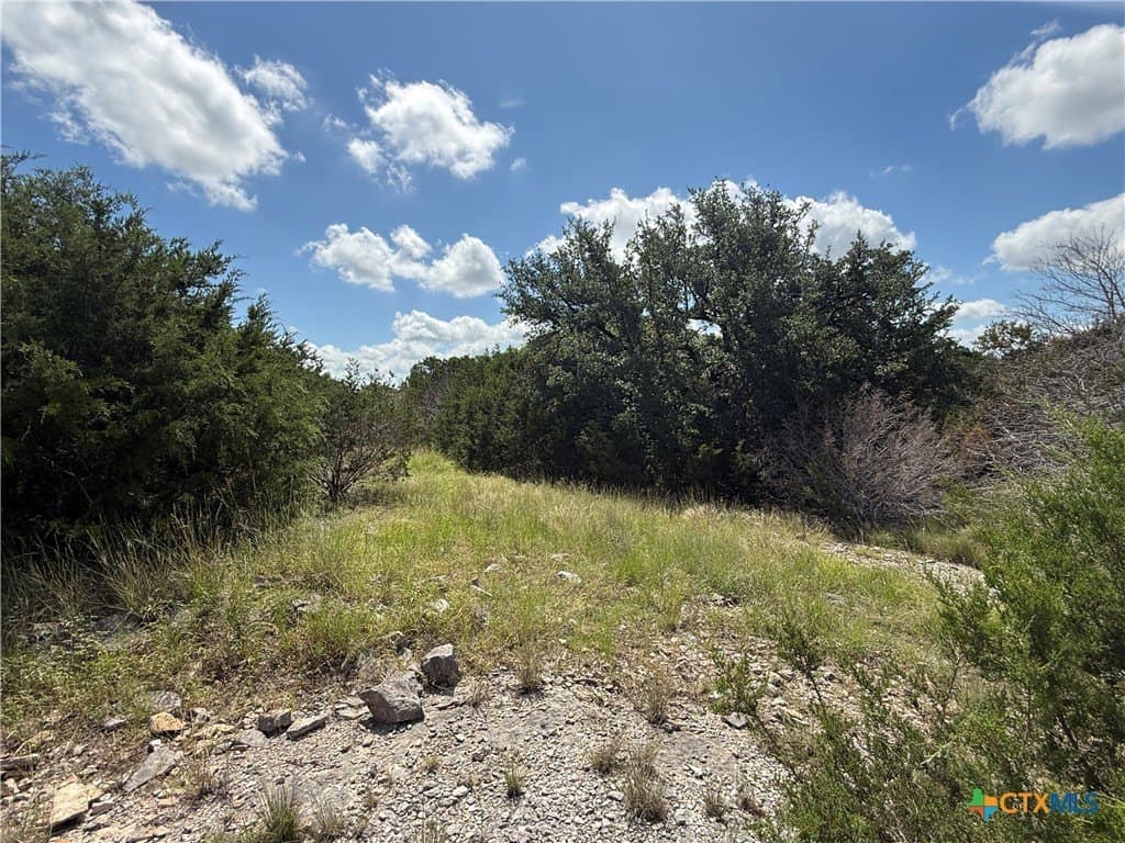 5 acres in Coryell County - photo 11