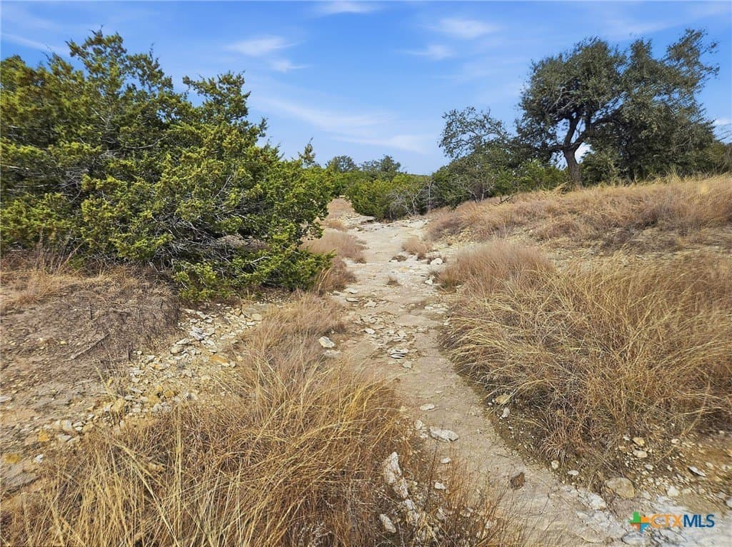 102.74 acres in Coryell County - photo 13