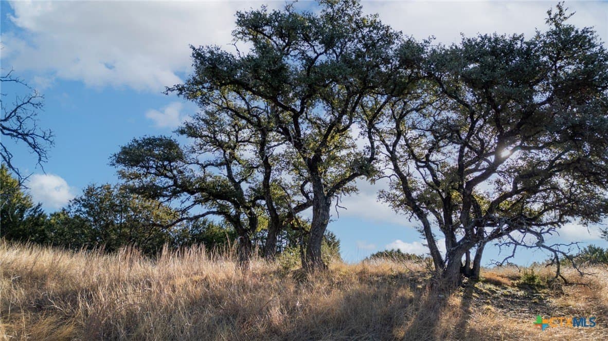 102.74 acres in Coryell County - photo 11