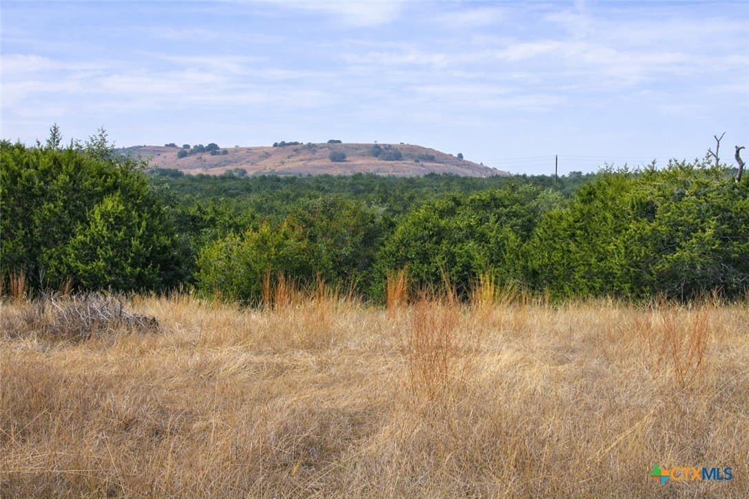 102.74 acres in Coryell County - photo 10