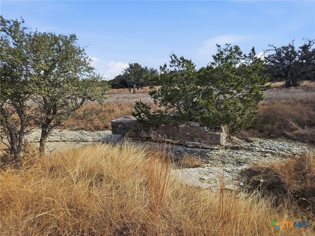 102.74 acres in Coryell County - photo 4