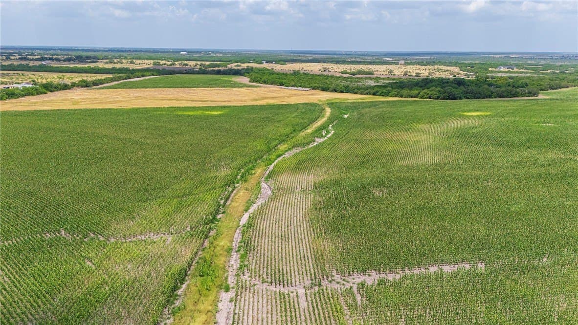 148.95 acres in Jim Wells County - photo 16