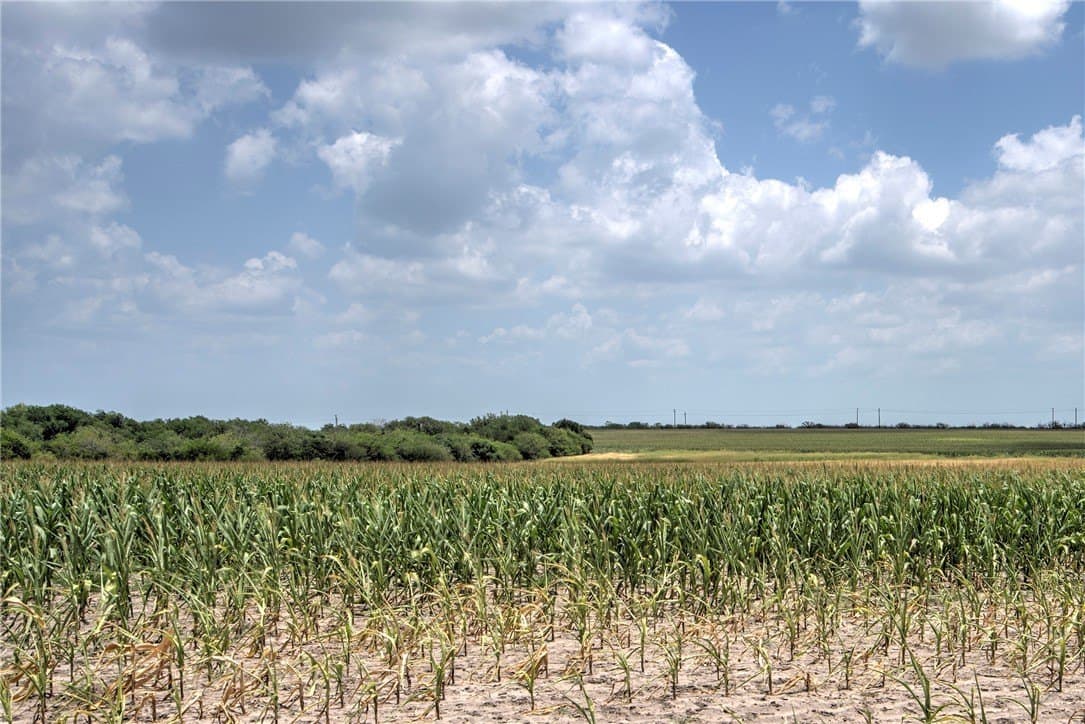 148.95 acres in Jim Wells County - photo 32