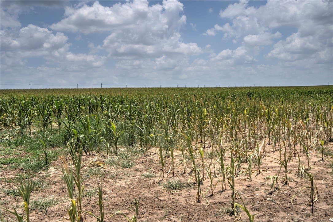 148.95 acres in Jim Wells County - photo 29