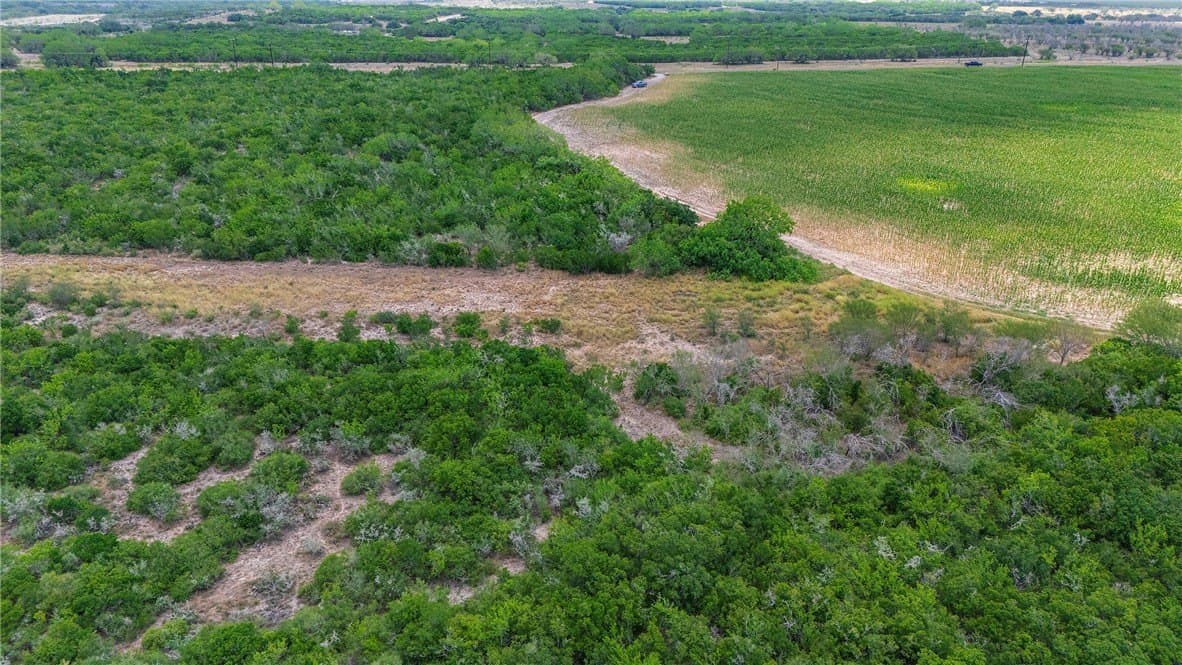 148.95 acres in Jim Wells County - photo 21