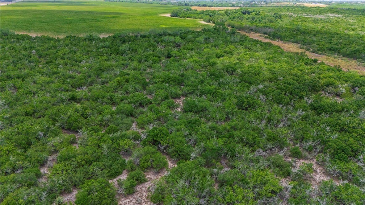 148.95 acres in Jim Wells County - photo 22