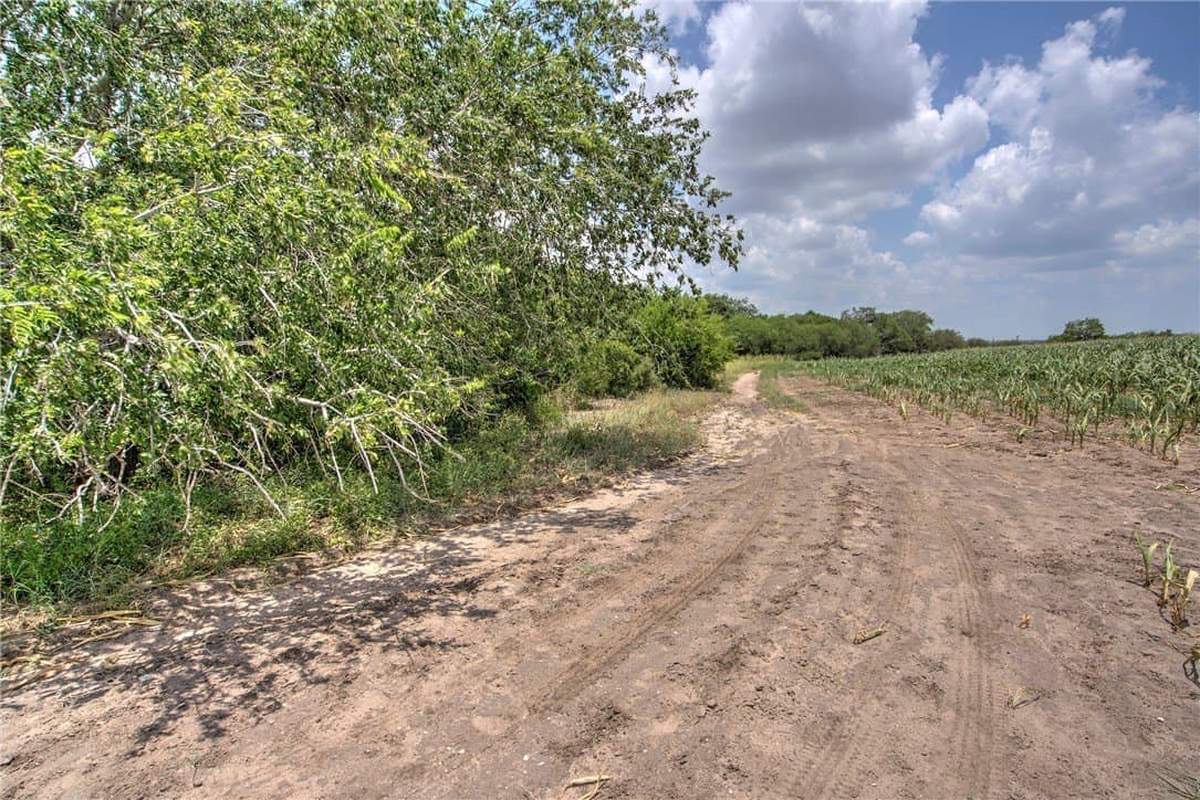 148.95 acres in Jim Wells County - photo 30