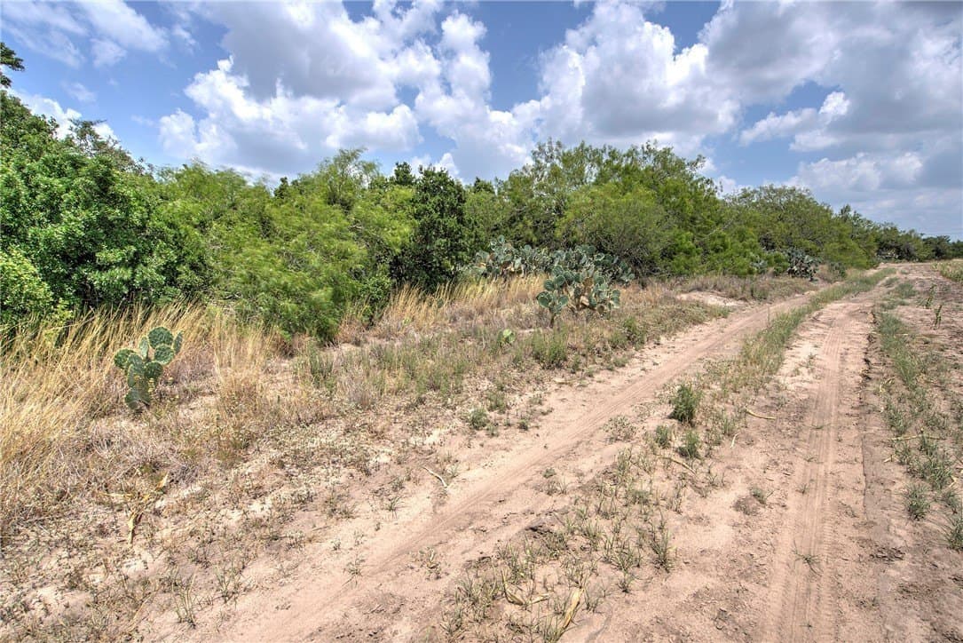 148.95 acres in Jim Wells County - photo 28