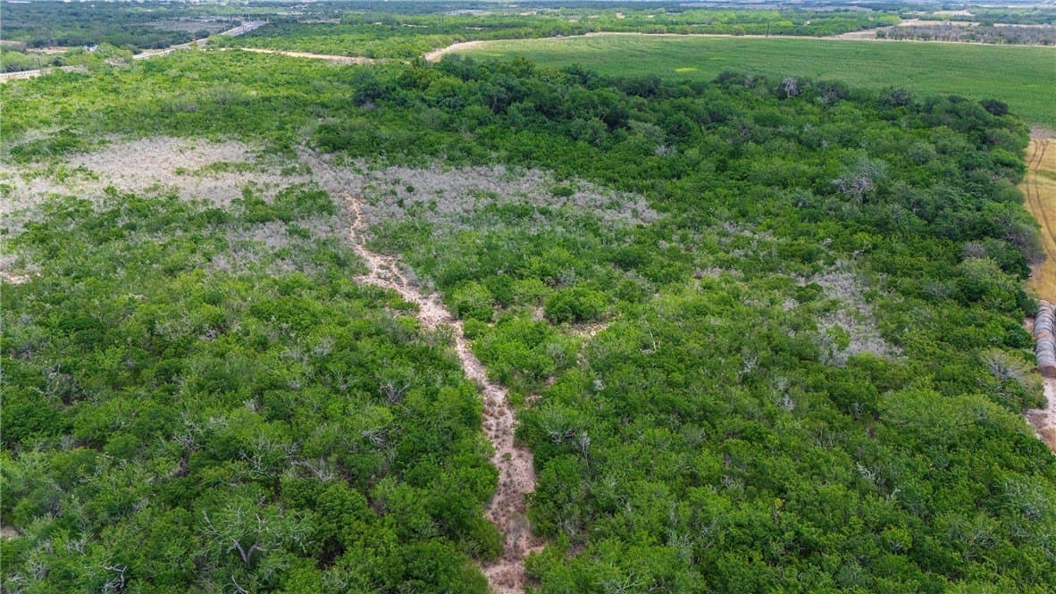 148.95 acres in Jim Wells County - photo 19