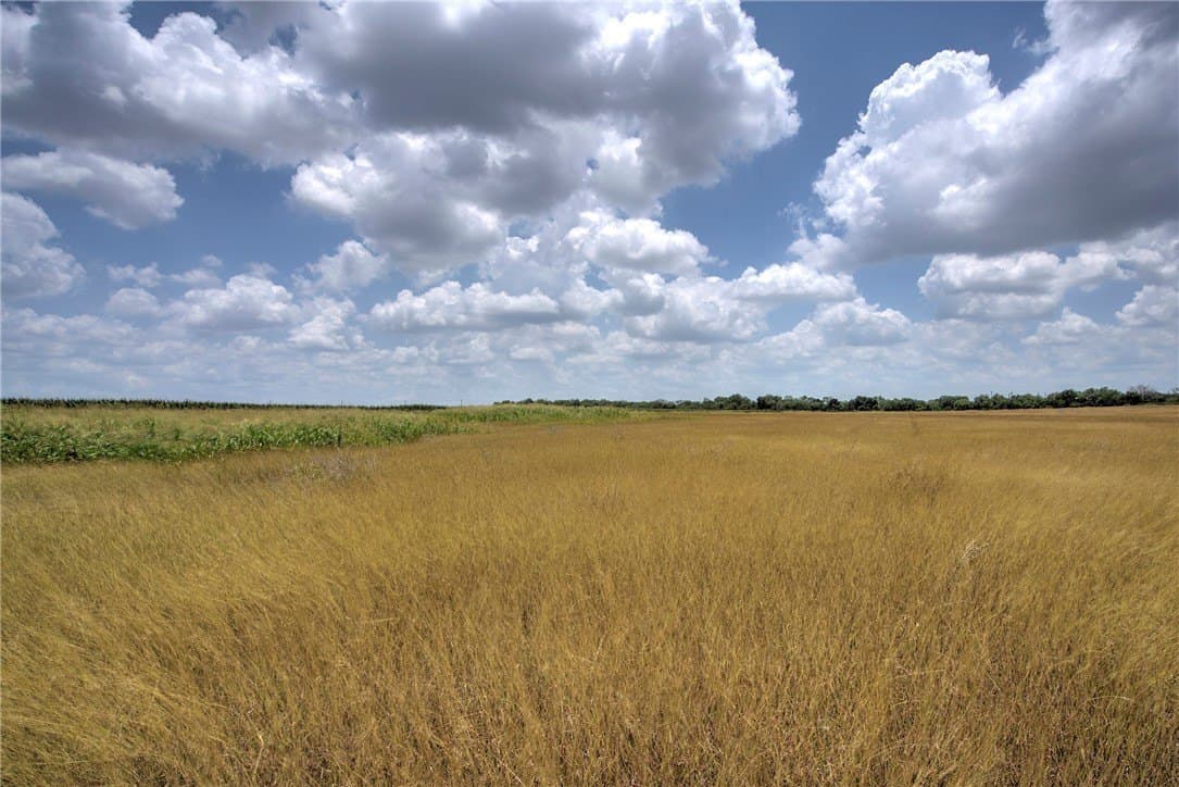 148.95 acres in Jim Wells County - photo 31