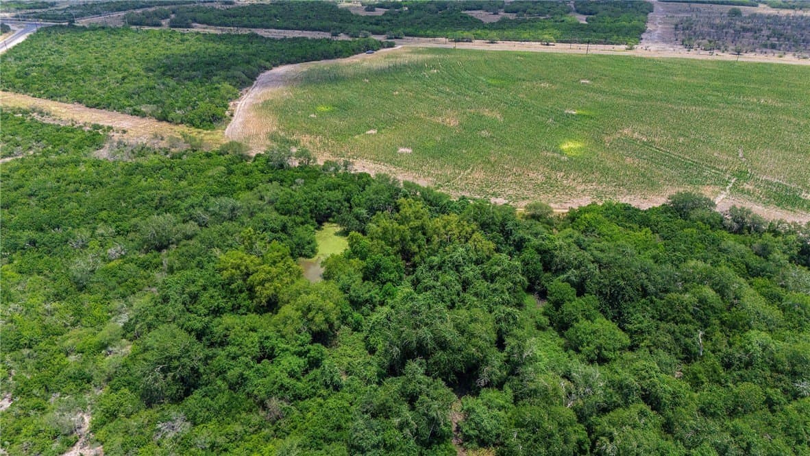 148.95 acres in Jim Wells County - photo 25
