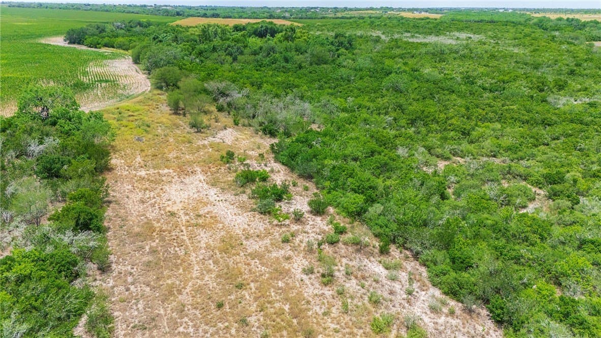 148.95 acres in Jim Wells County - photo 23