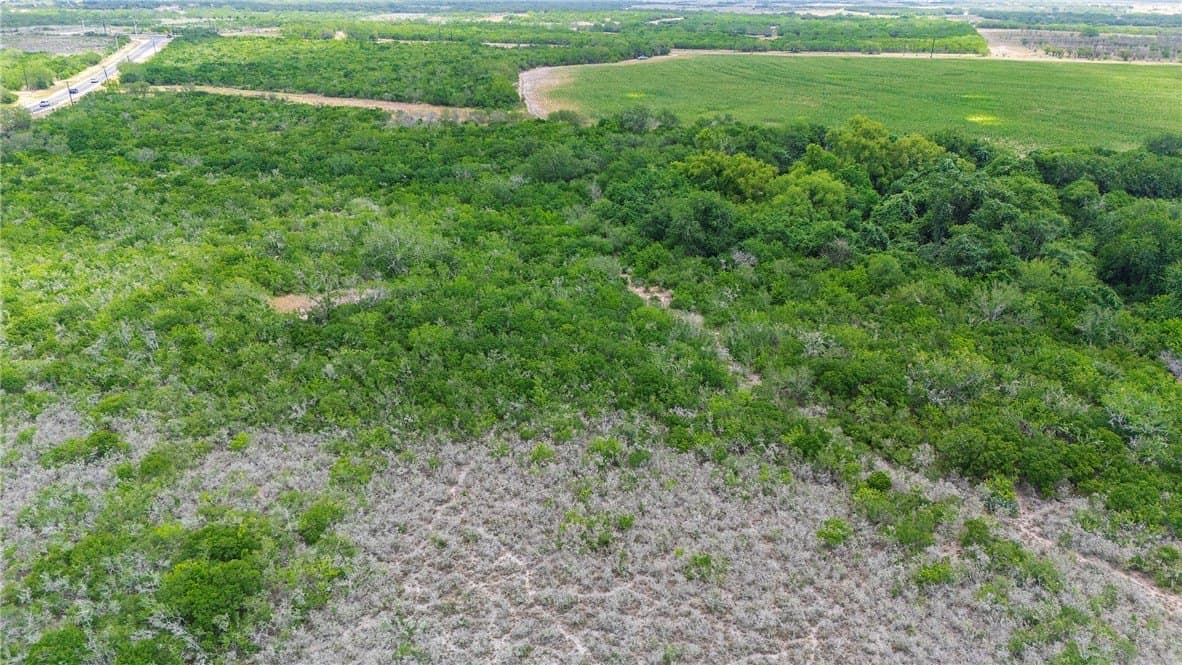 148.95 acres in Jim Wells County - photo 20
