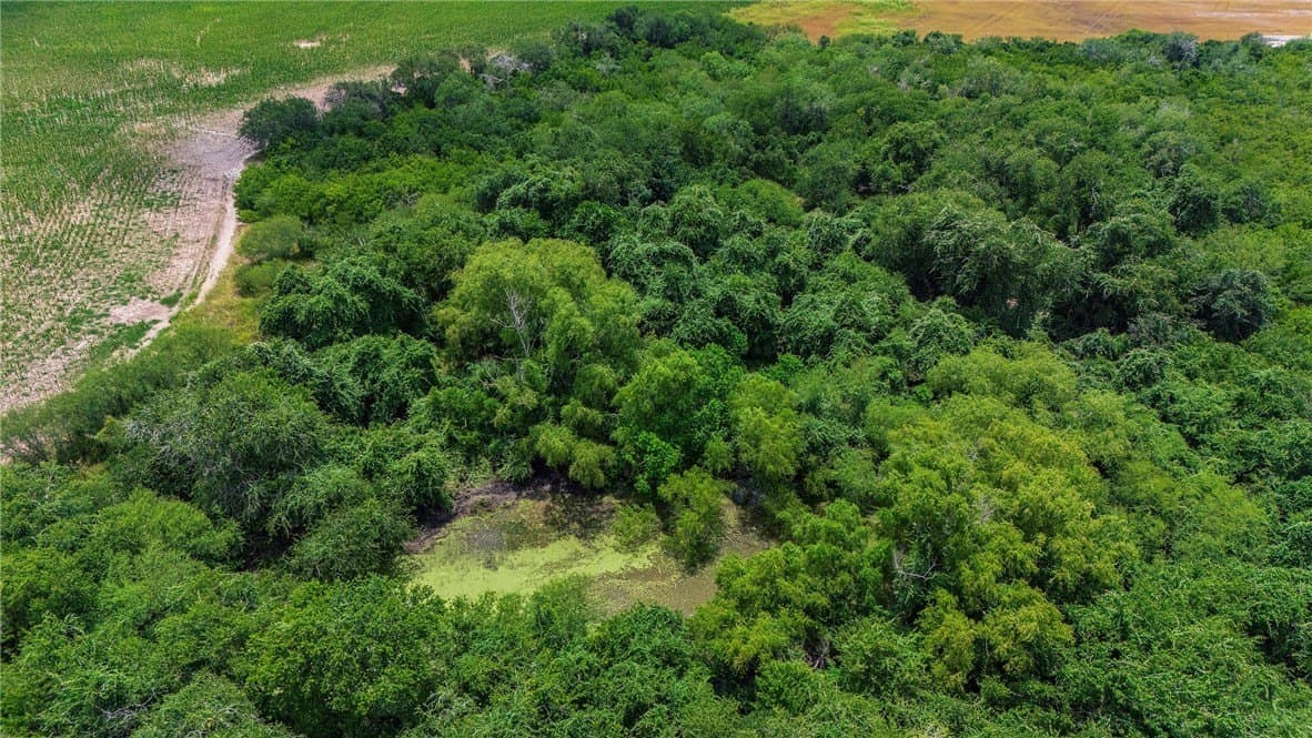 148.95 acres in Jim Wells County - photo 24