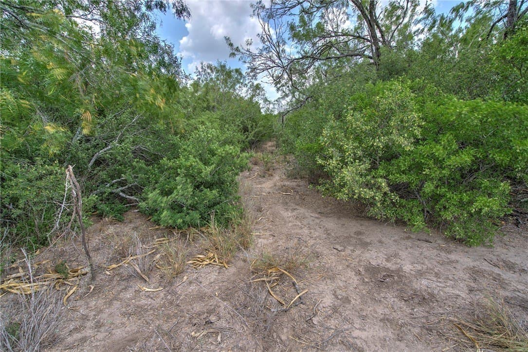 148.95 acres in Jim Wells County - photo 33
