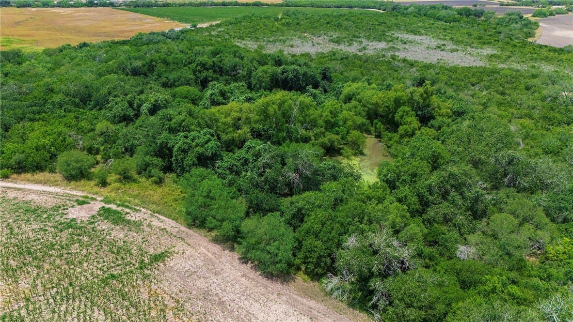 148.95 acres in Jim Wells County - photo 26