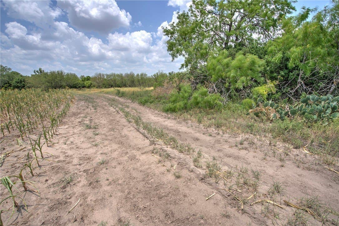 148.95 acres in Jim Wells County - photo 27