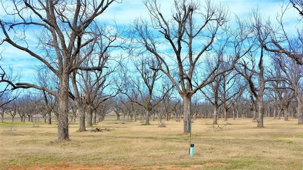 2.88 acres in Hood County - photo 8
