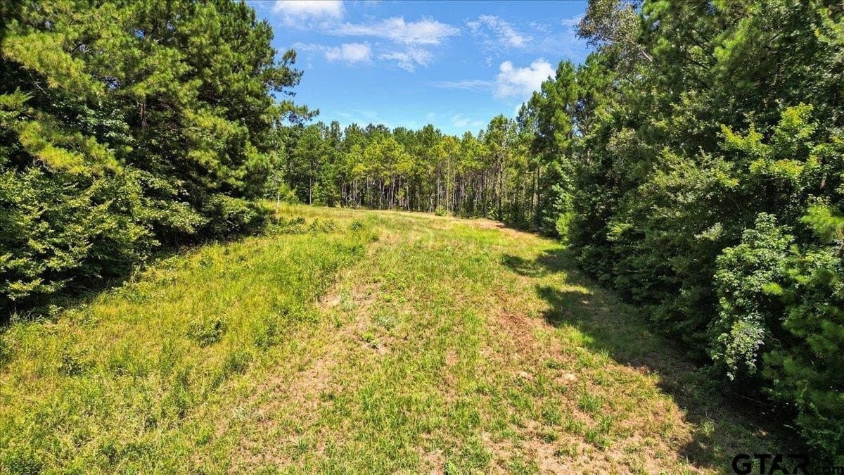 79.49 acres in Harrison County - photo 12