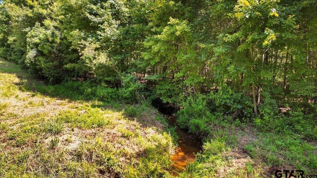 79.49 acres in Harrison County - photo 13