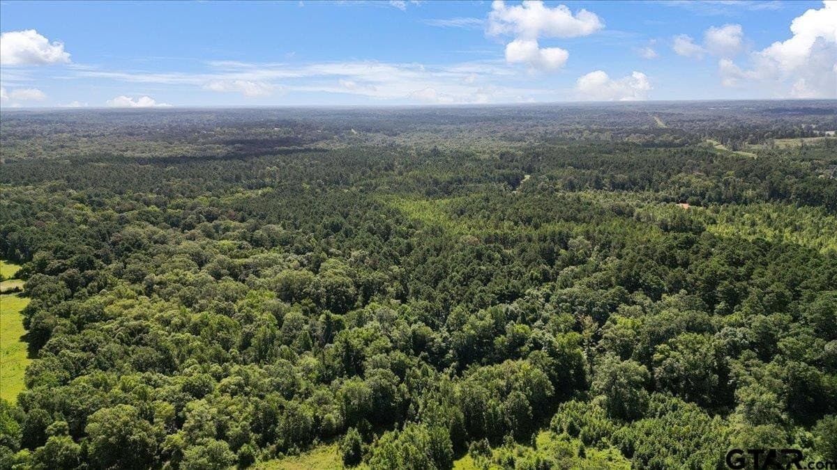 79.49 acres in Harrison County - photo 6