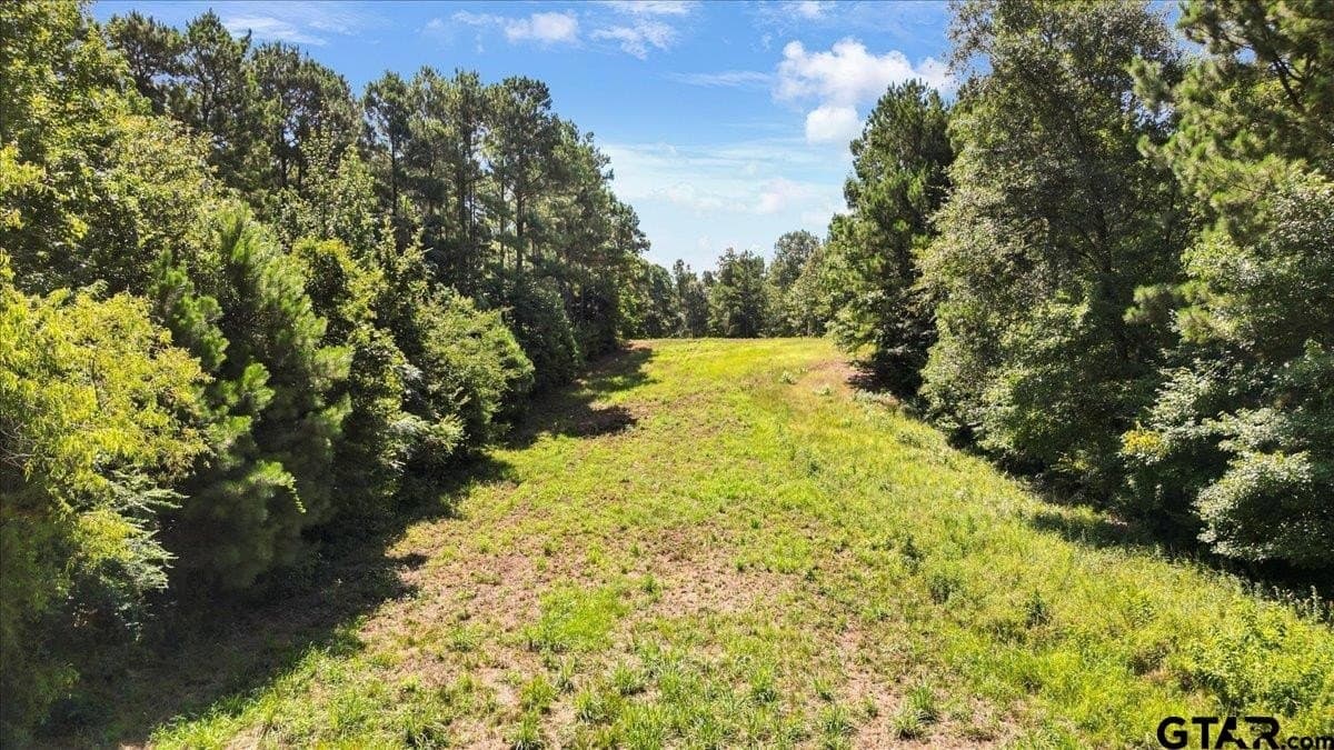 79.49 acres in Harrison County - photo 11