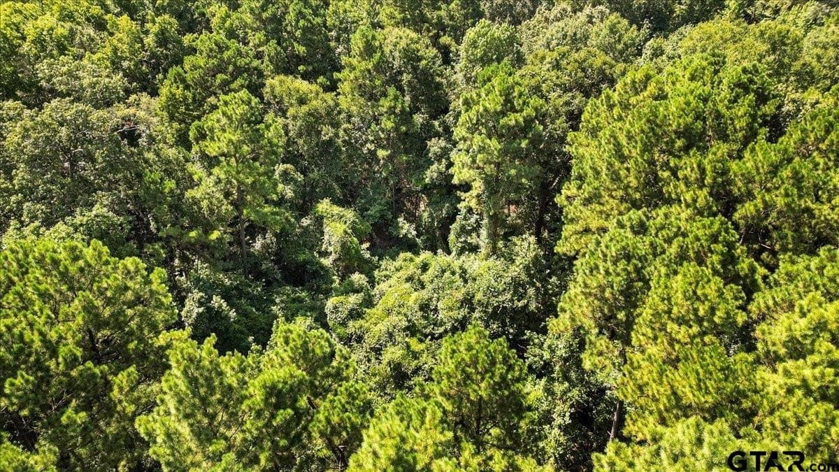 79.49 acres in Harrison County - photo 7
