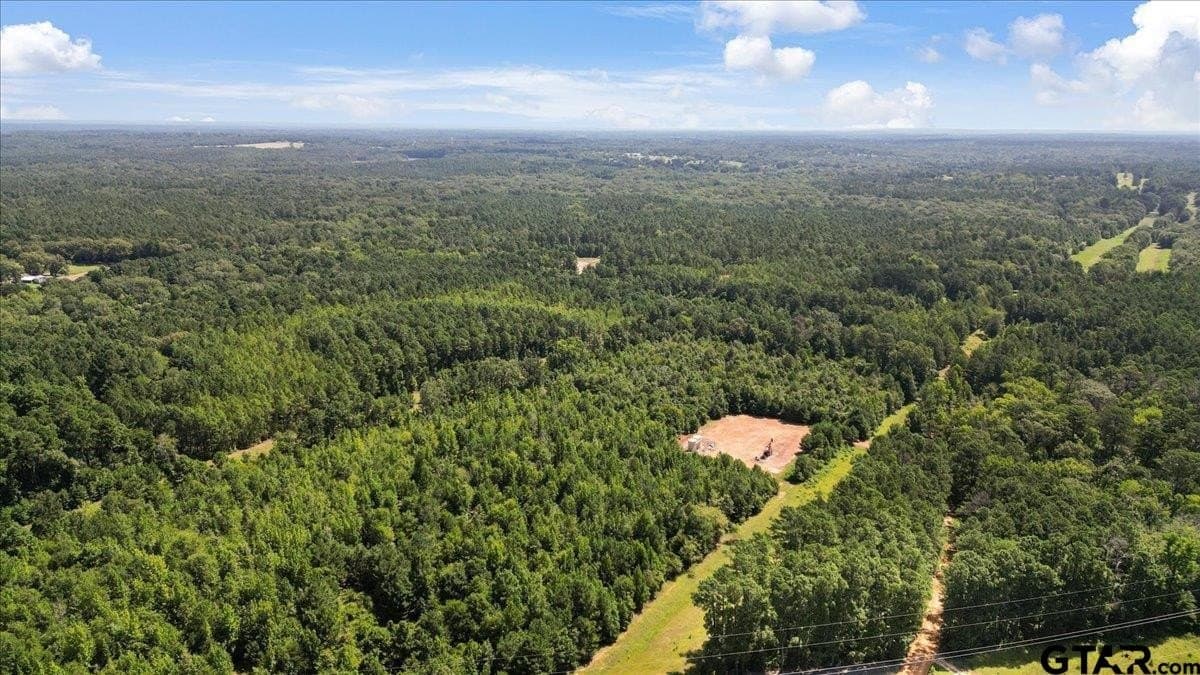 79.49 acres in Harrison County - photo 9