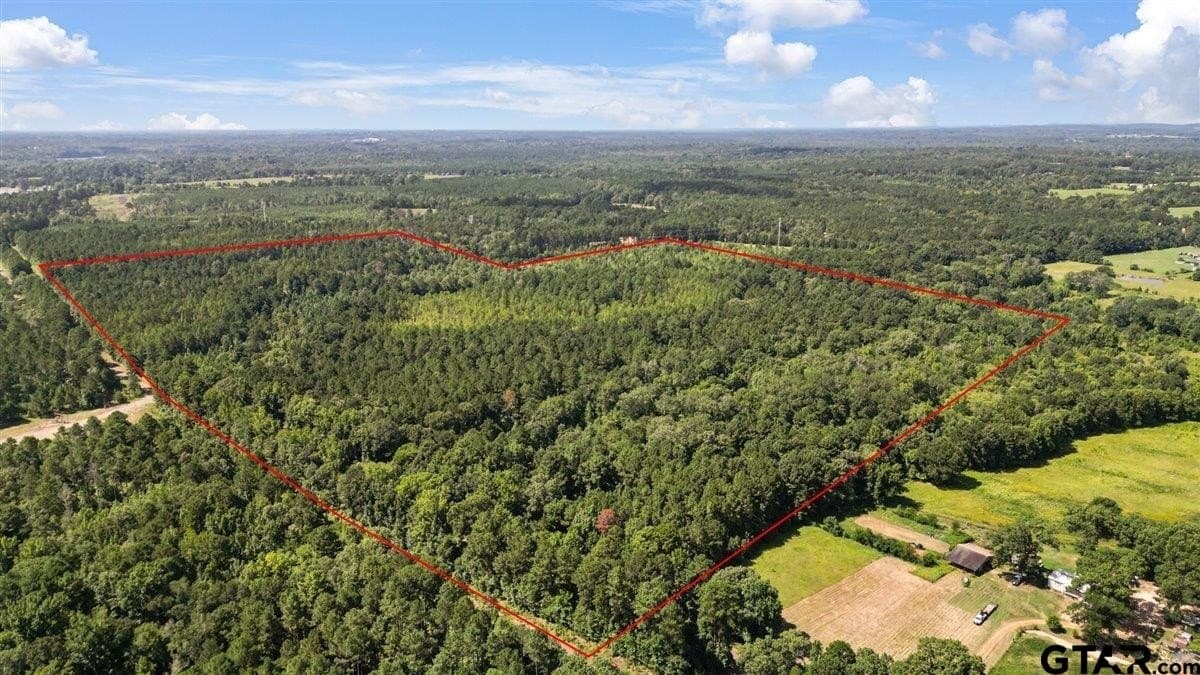 79.49 acres in Harrison County - photo 4