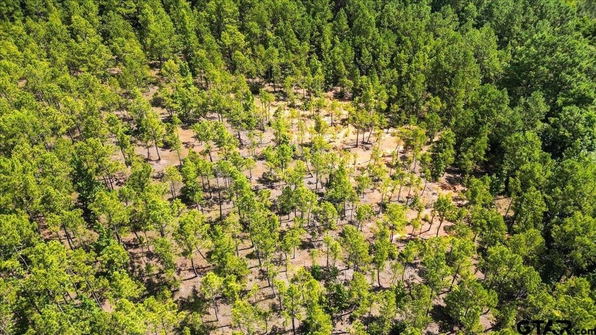 79.49 acres in Harrison County - photo 10