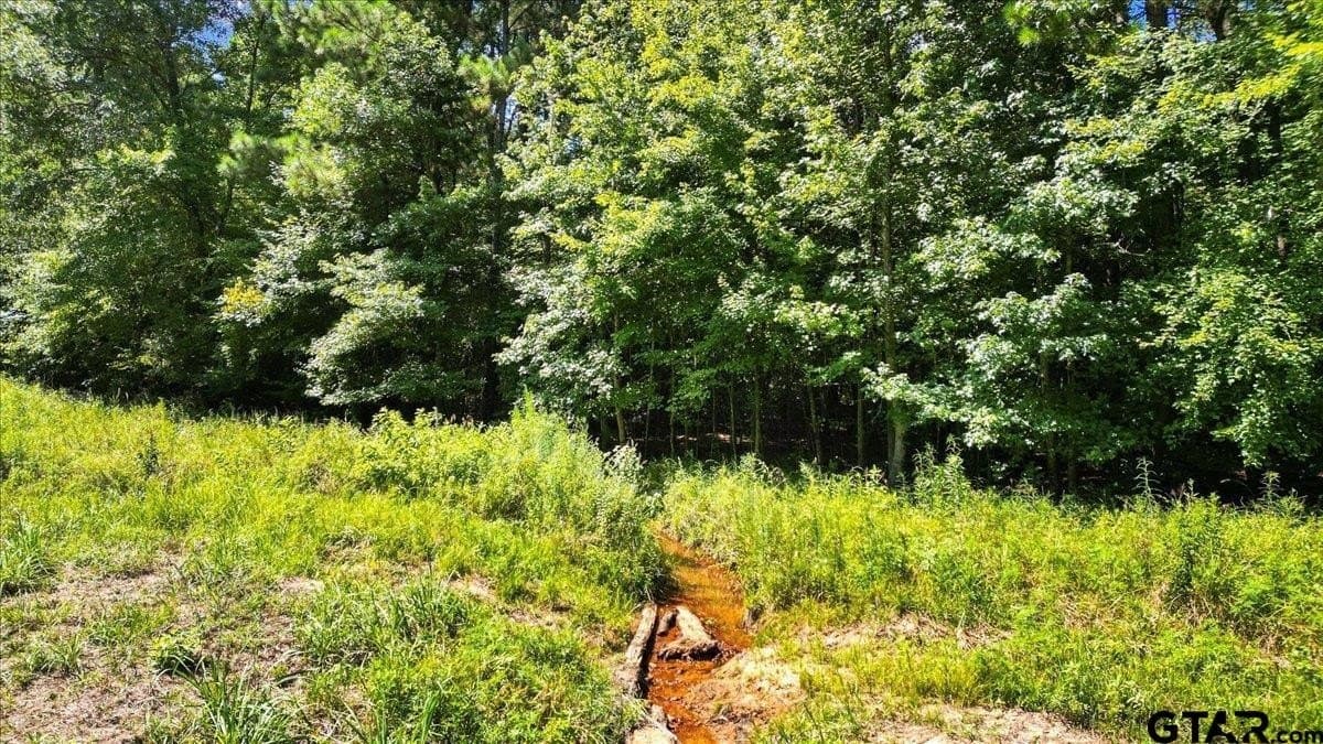 79.49 acres in Harrison County - photo 14