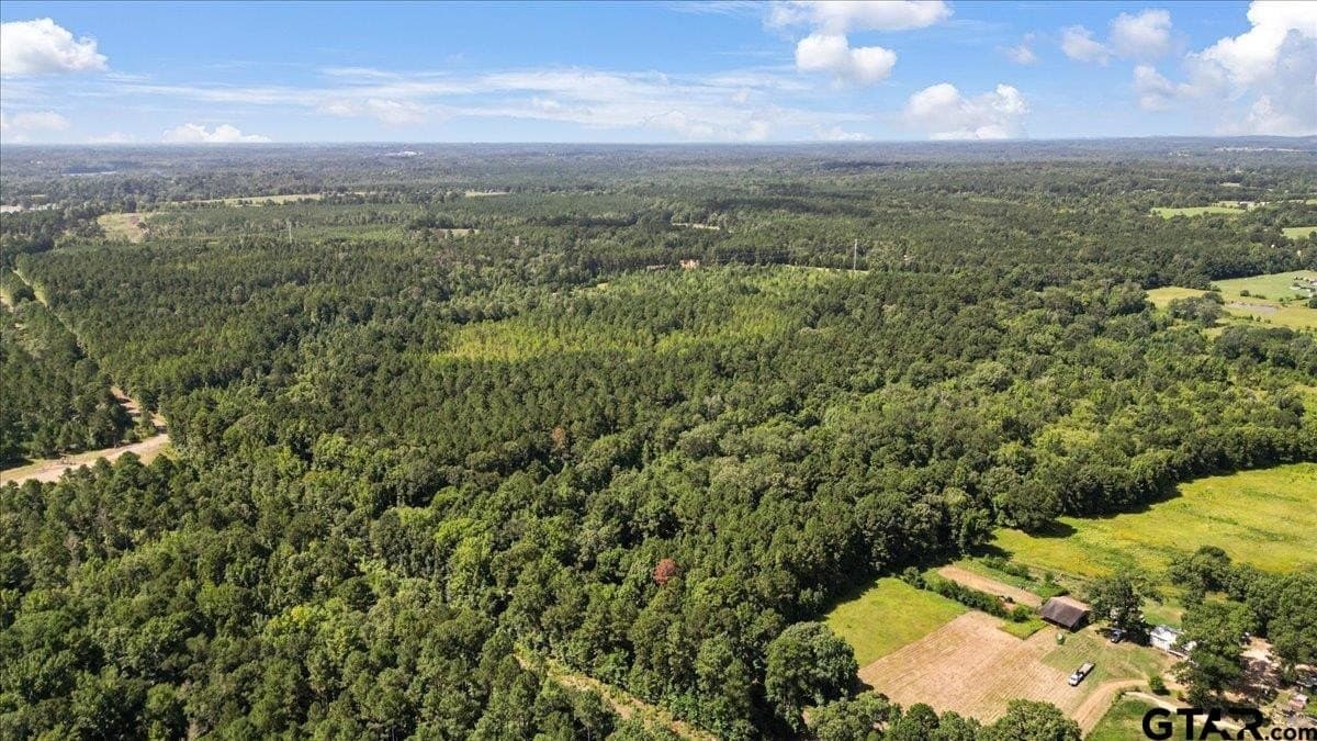 79.49 acres in Harrison County - photo 5