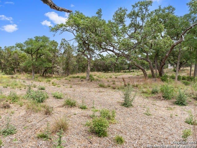 23.99 acres in Hays County - photo 40