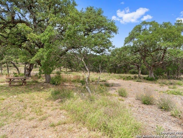 23.99 acres in Hays County - photo 41
