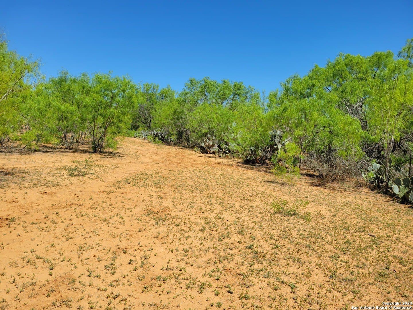10 acres in Medina County - photo 38