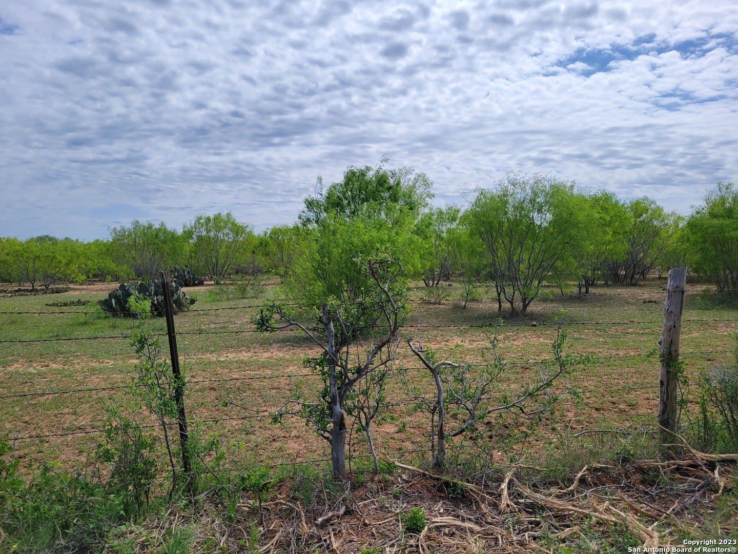 10 acres in Medina County - photo 29