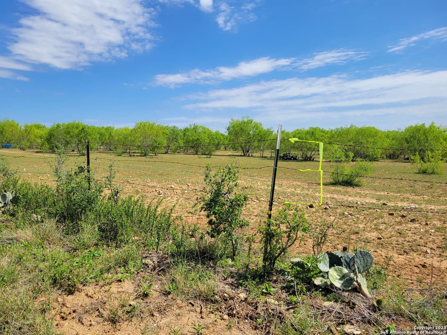 10 acres in Medina County - photo 26