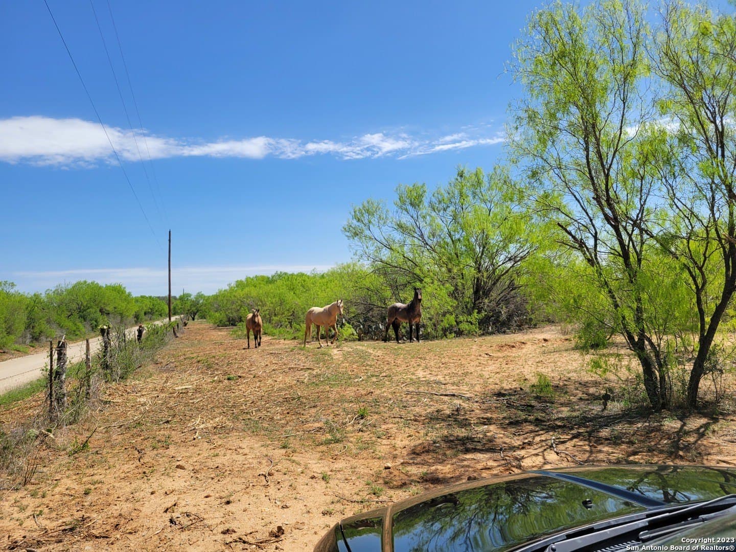 10 acres in Medina County - photo 35