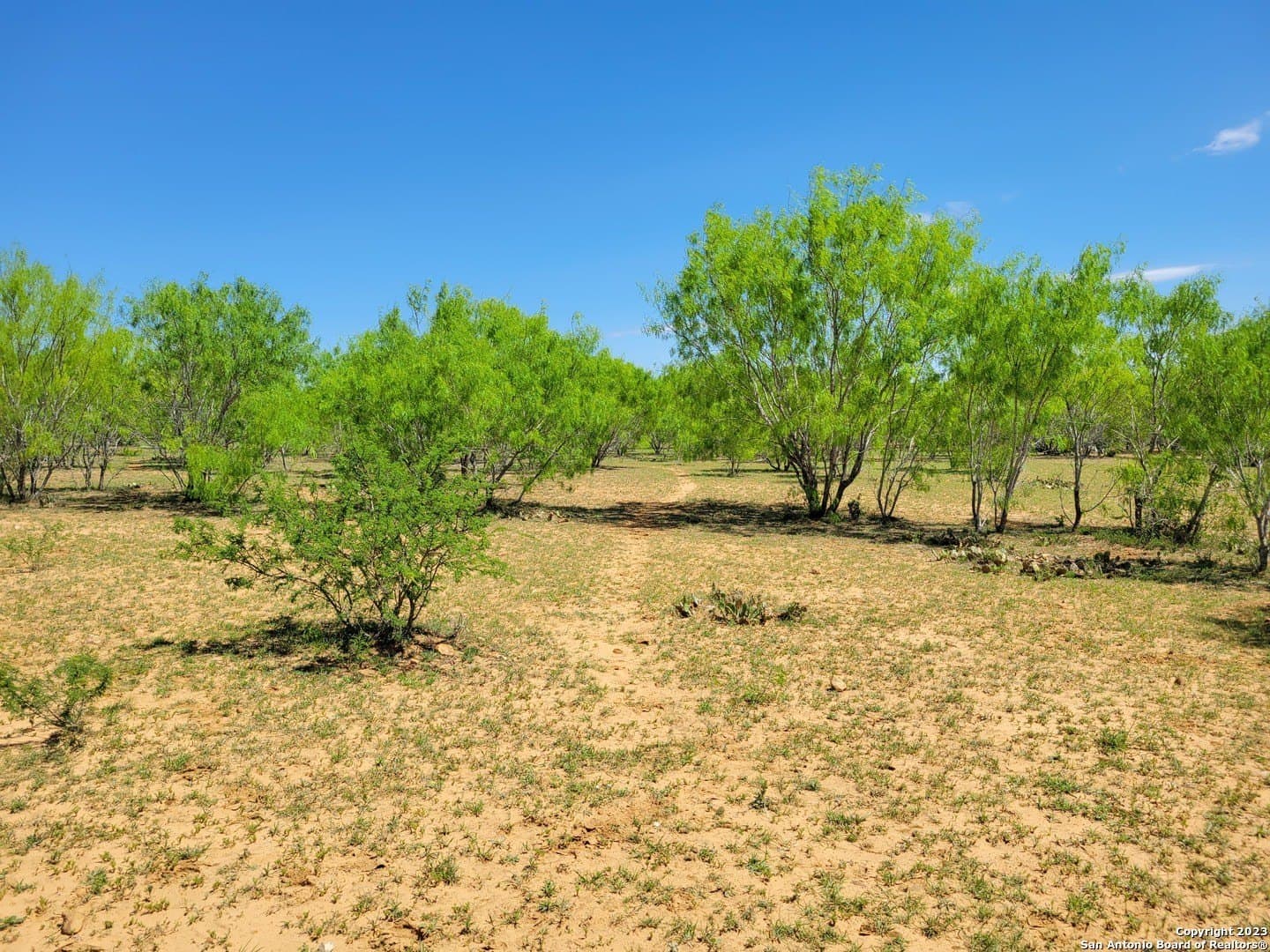 10 acres in Medina County - photo 42