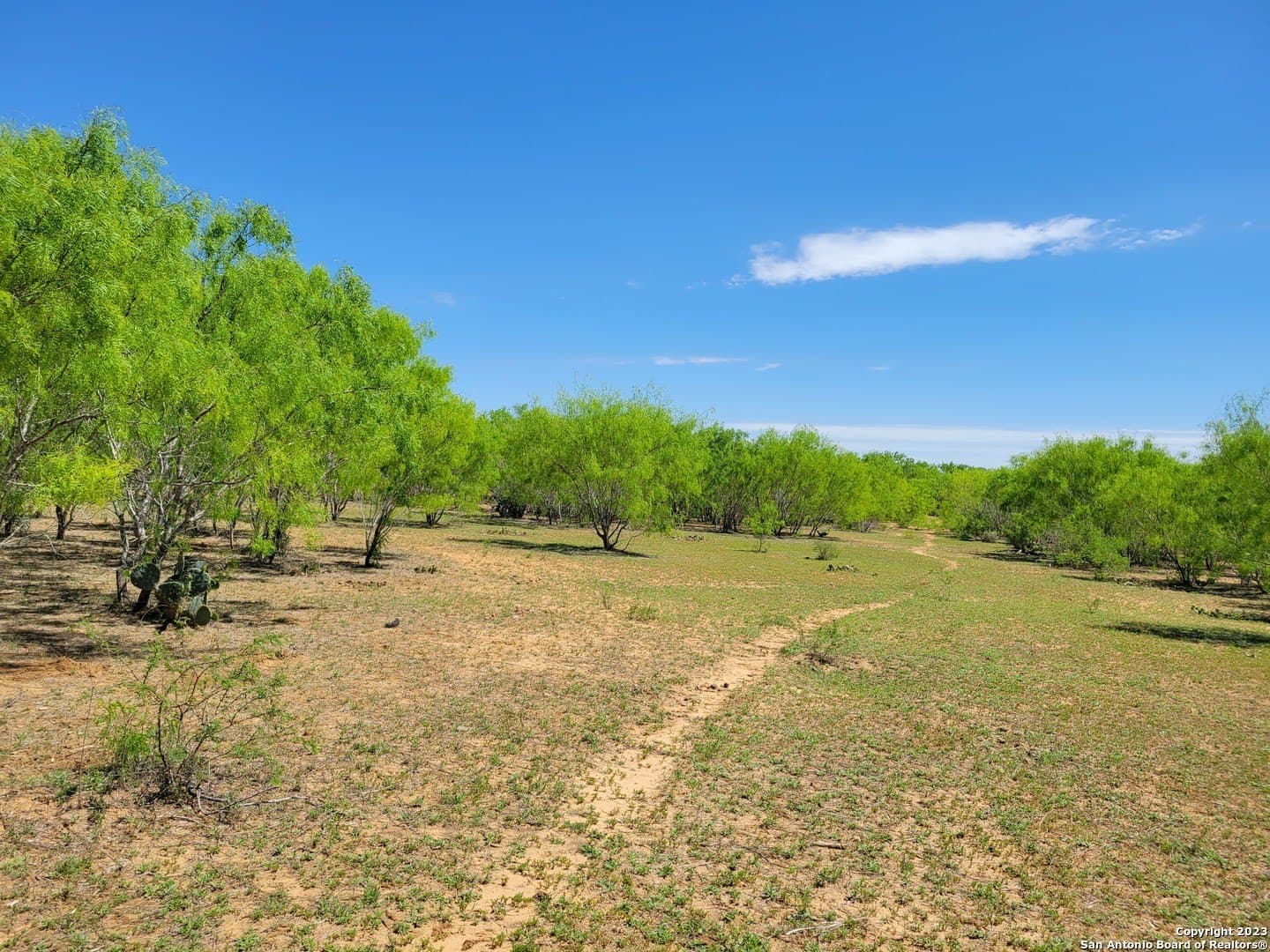 10 acres in Medina County - photo 37