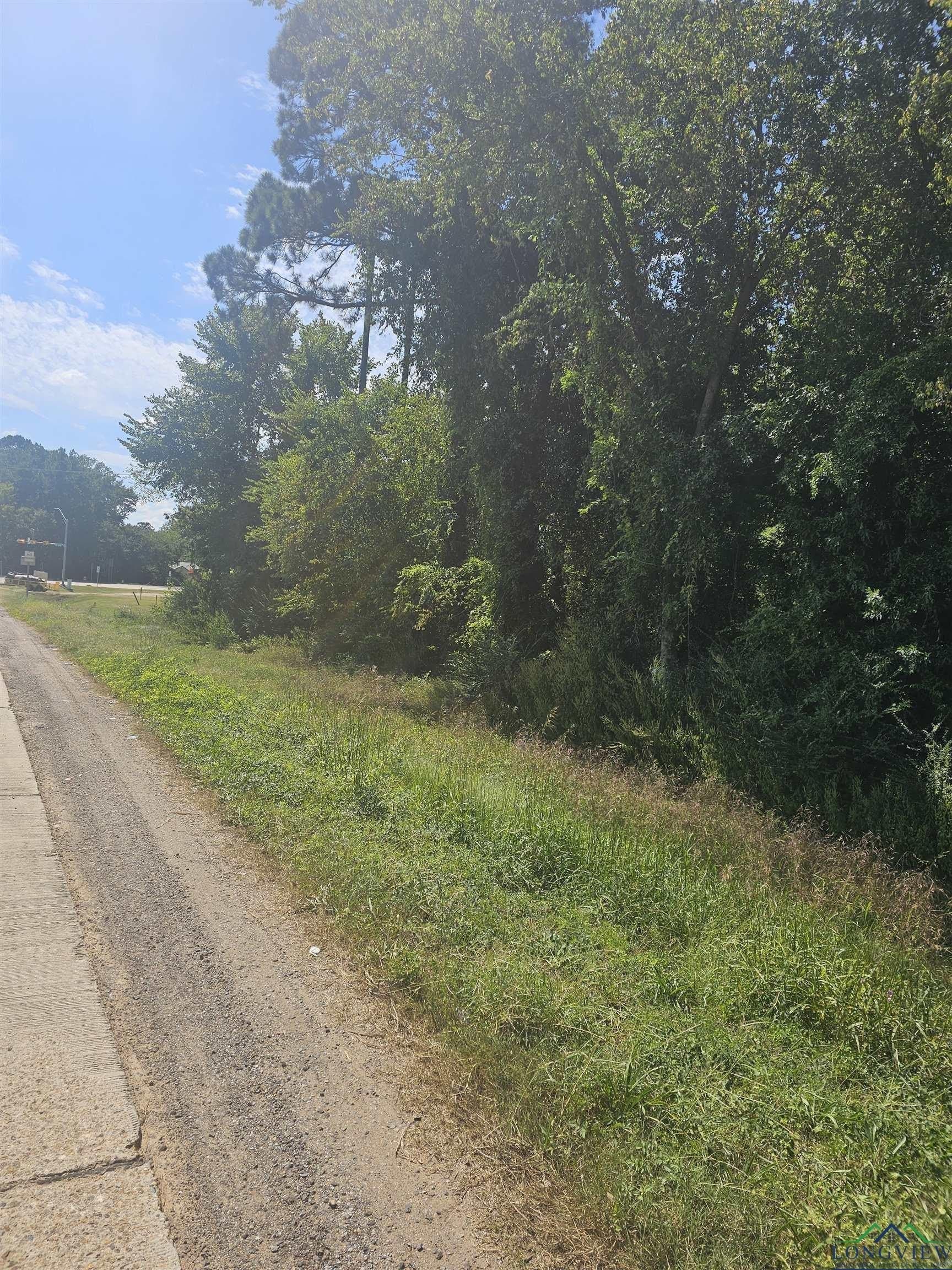 1.09 acres in Panola County - photo 3
