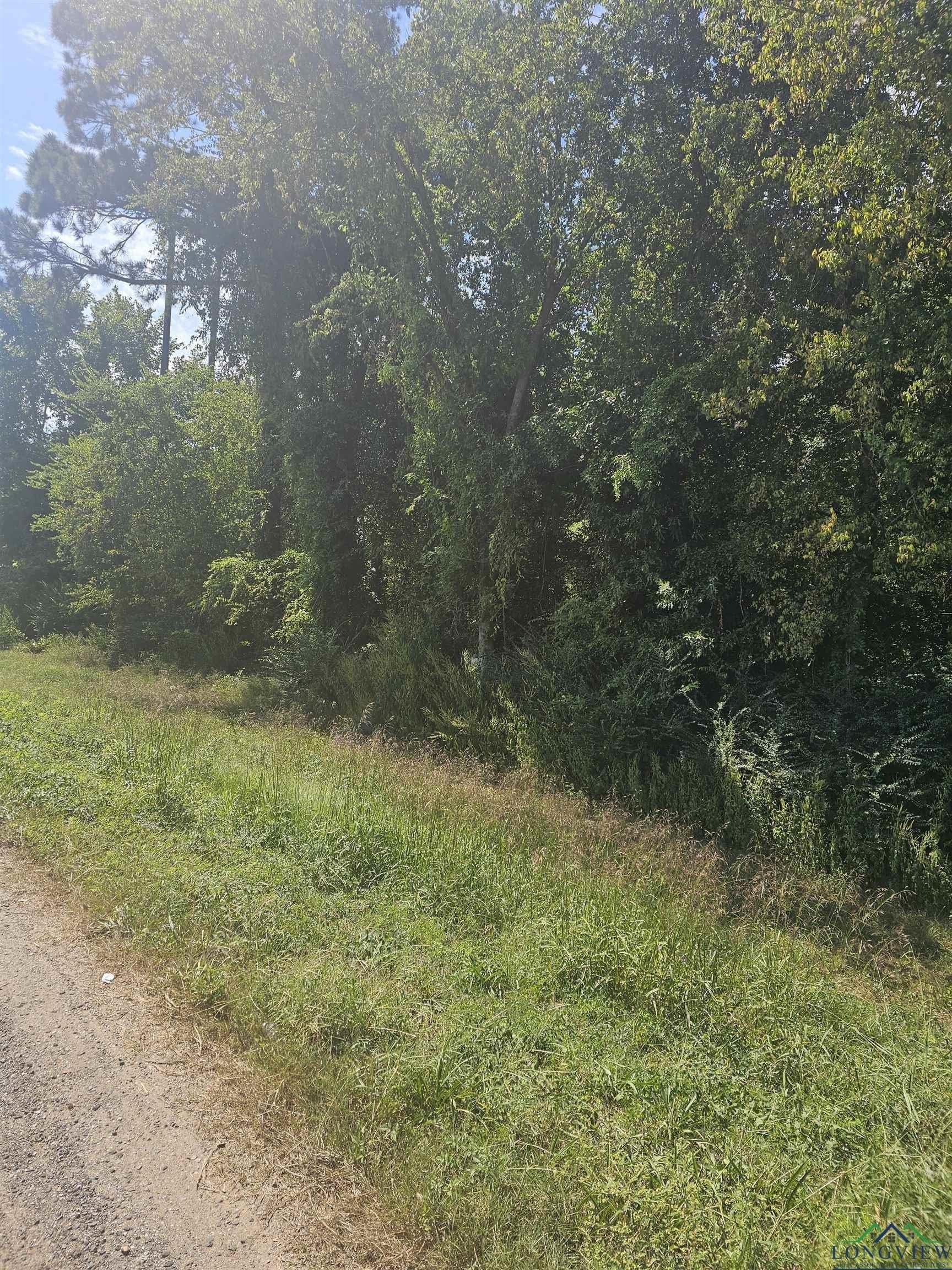 1.09 acres in Panola County - photo 5