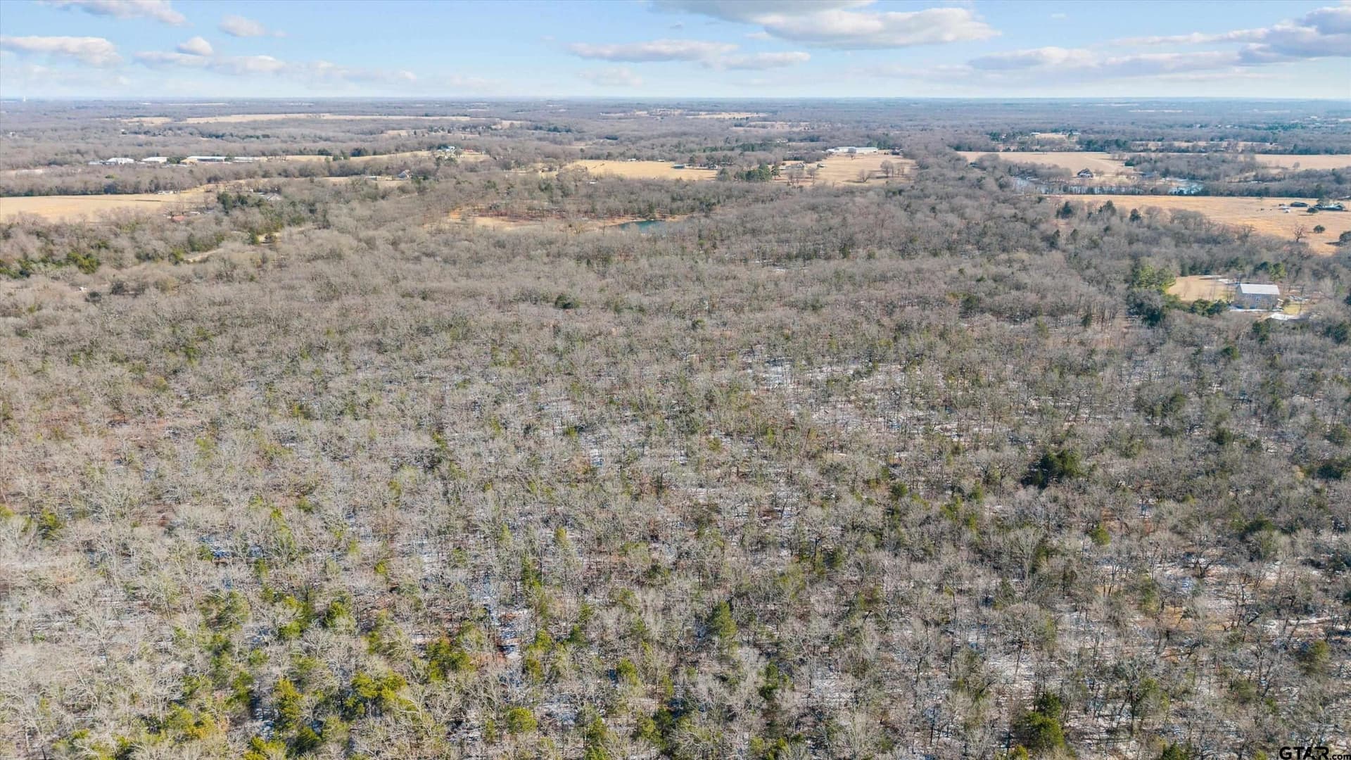 20.2 acres in Van Zandt County - photo 14